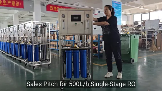 Water Filter System RO Water Purifier Membrane System Stainless Steel 1000L/H Mobile
